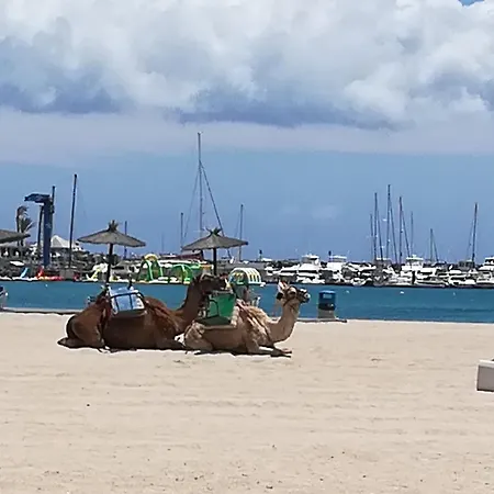 O Descanso Y Relax B&B 푸에르토델로사리오